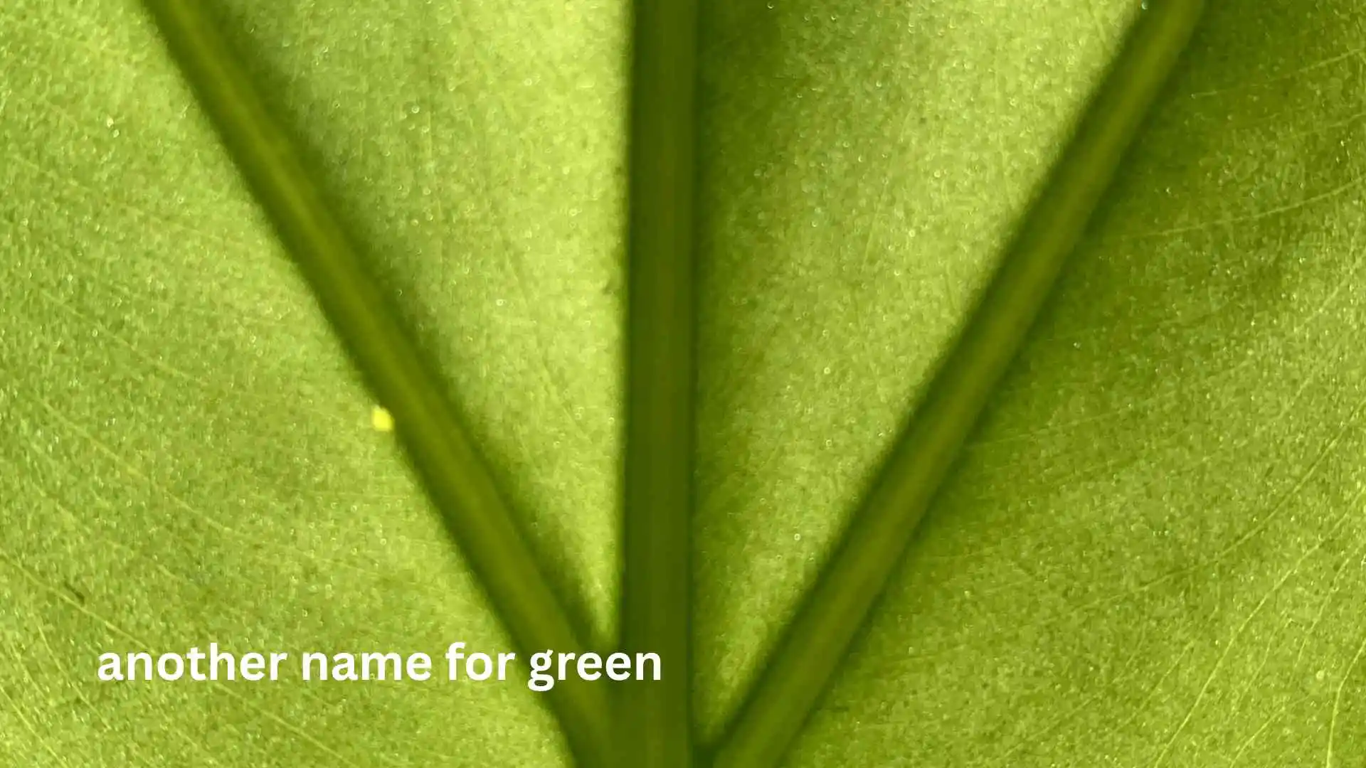another name for green