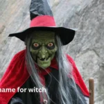 another name for witch