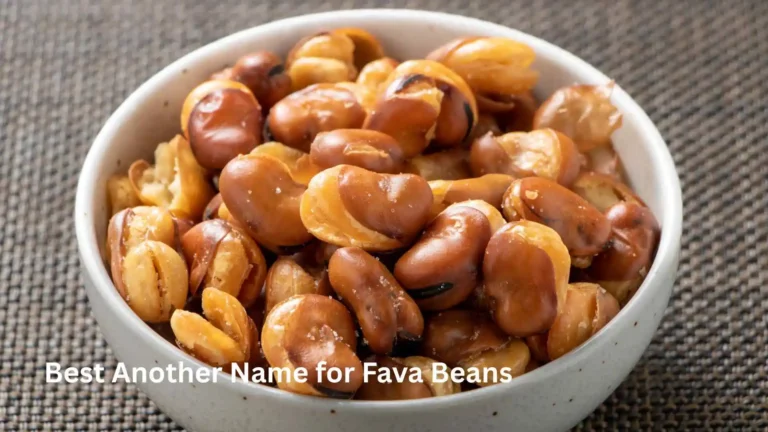 Best Another Name for Fava Beans