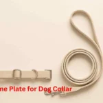 Best Name Plate for Dog Collar
