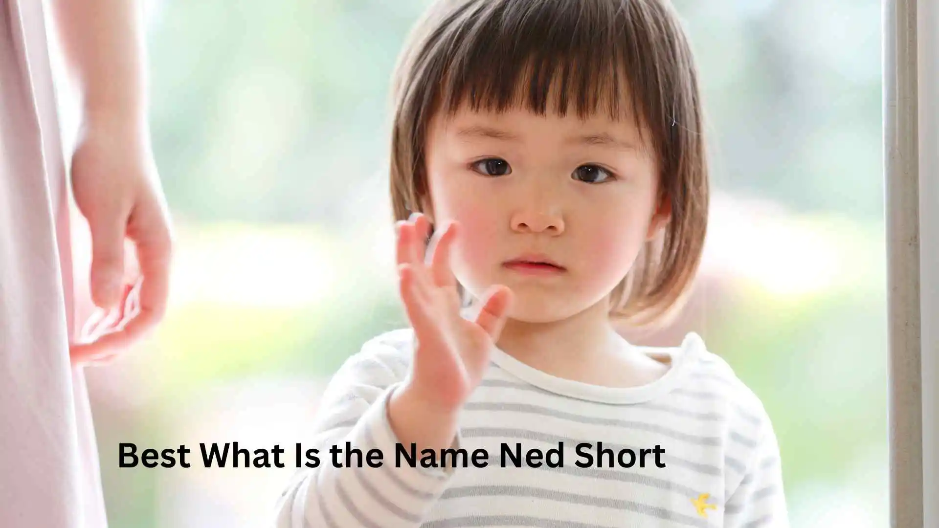 Best What Is the Name Ned Short
