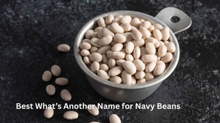 Best What’s Another Name for Navy Beans