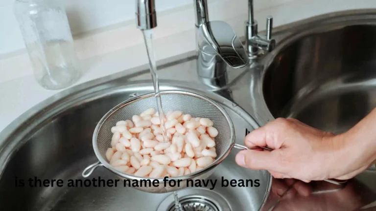 is there another name for navy beans