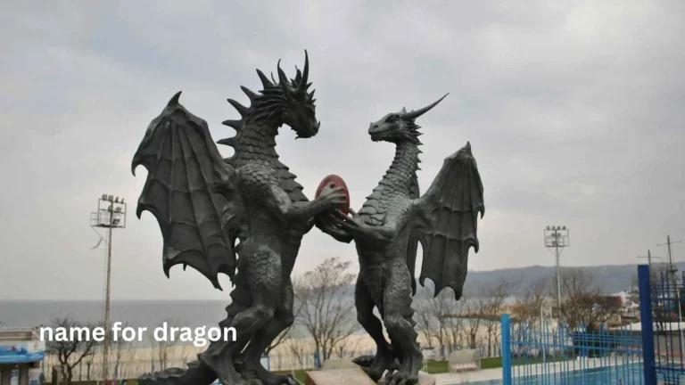 name for dragon