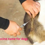 rabies vaccine name for dogs