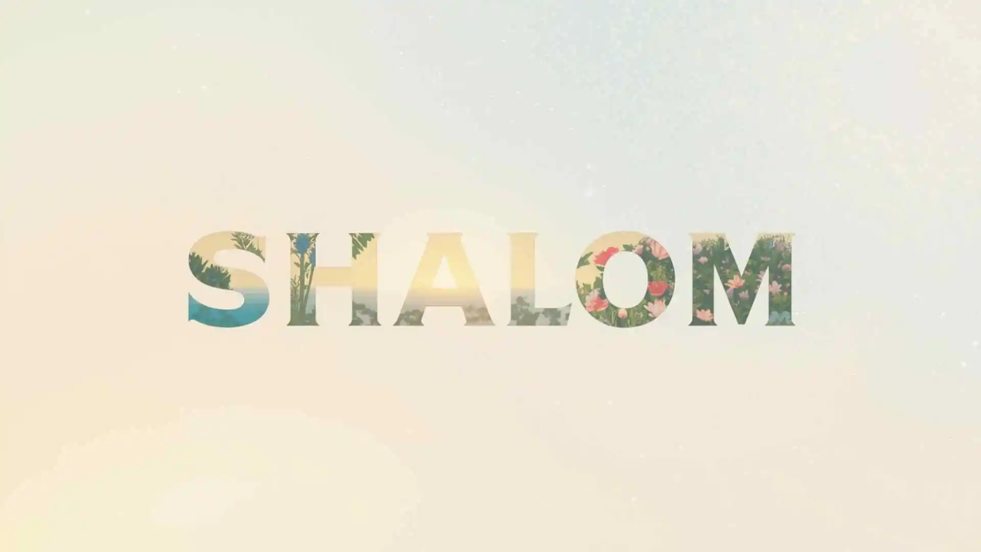 what does shalom mean