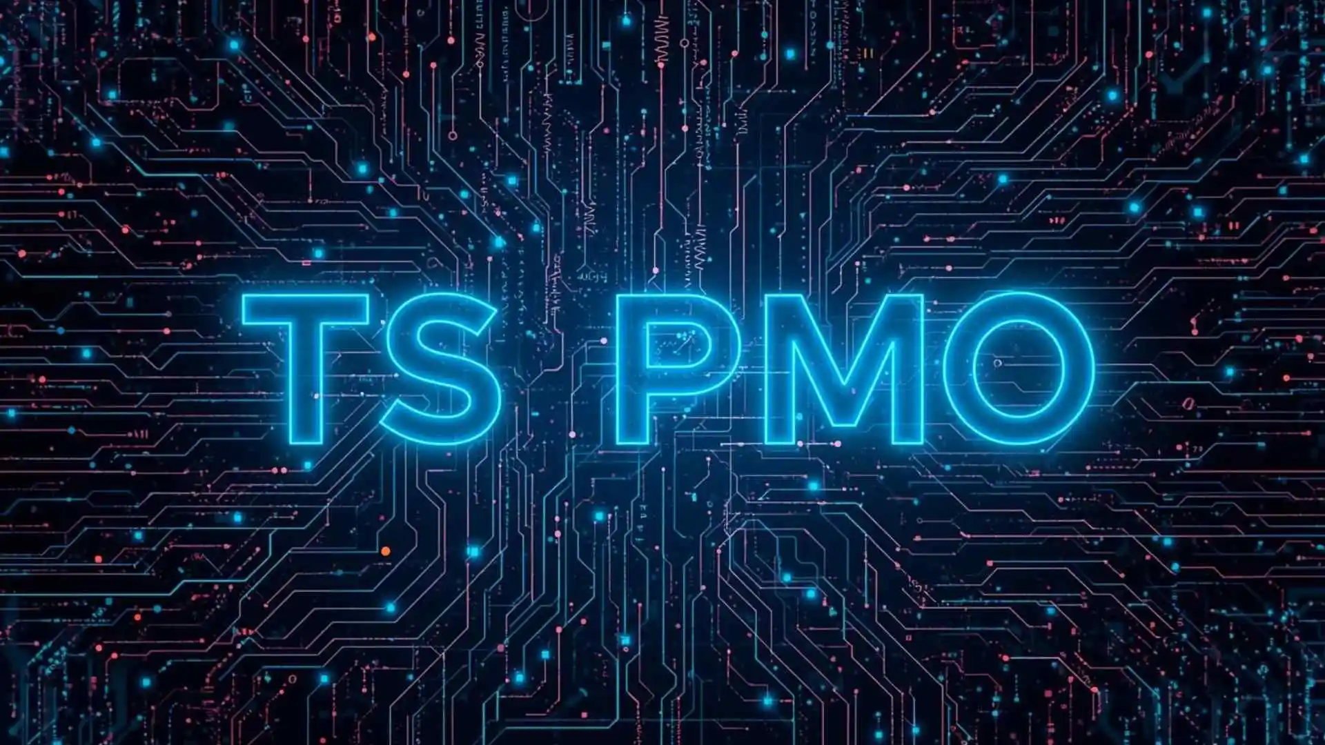 what does ts pmo mean